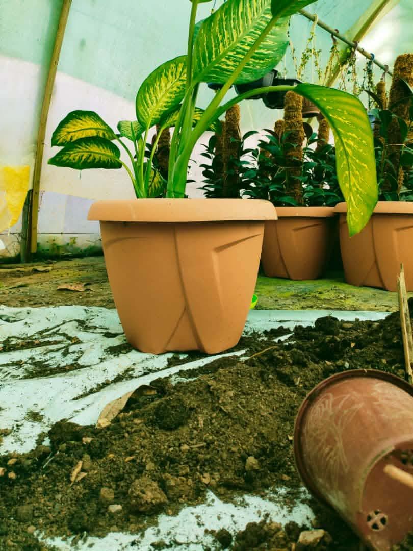 Finition terracotta