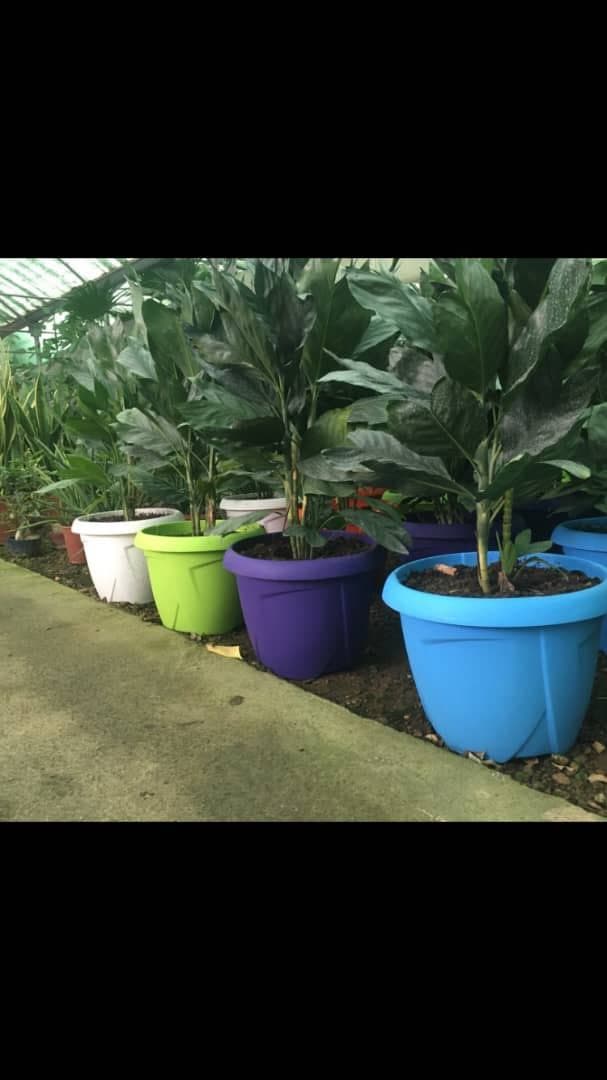 Format jardin